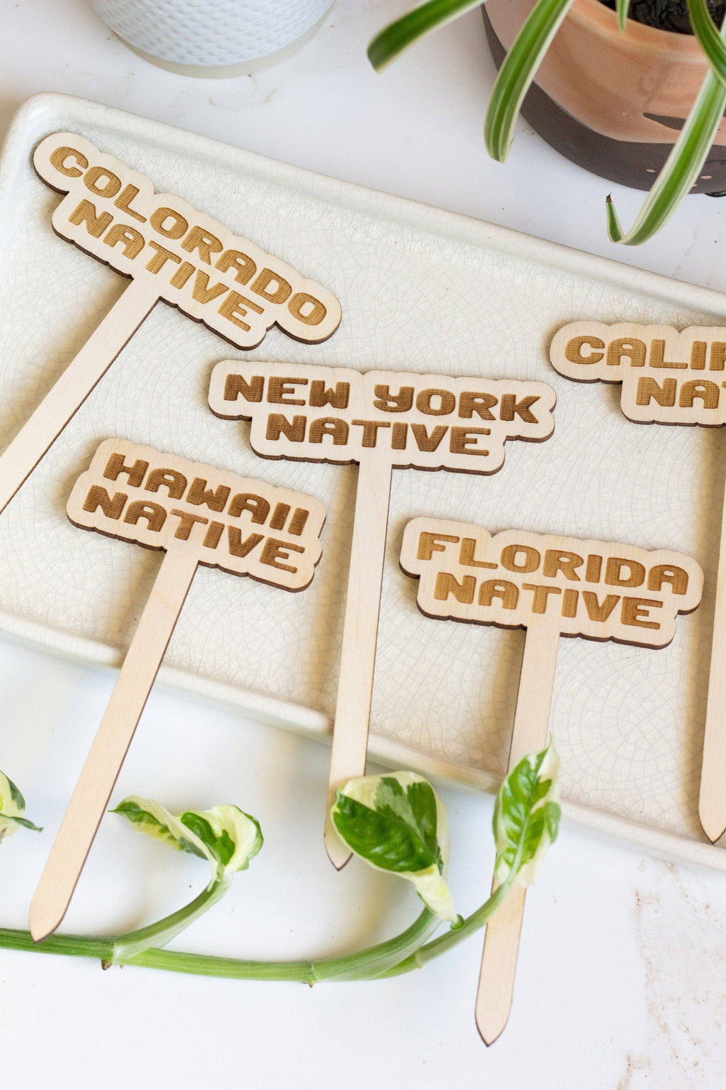 State Name Plant Stakes