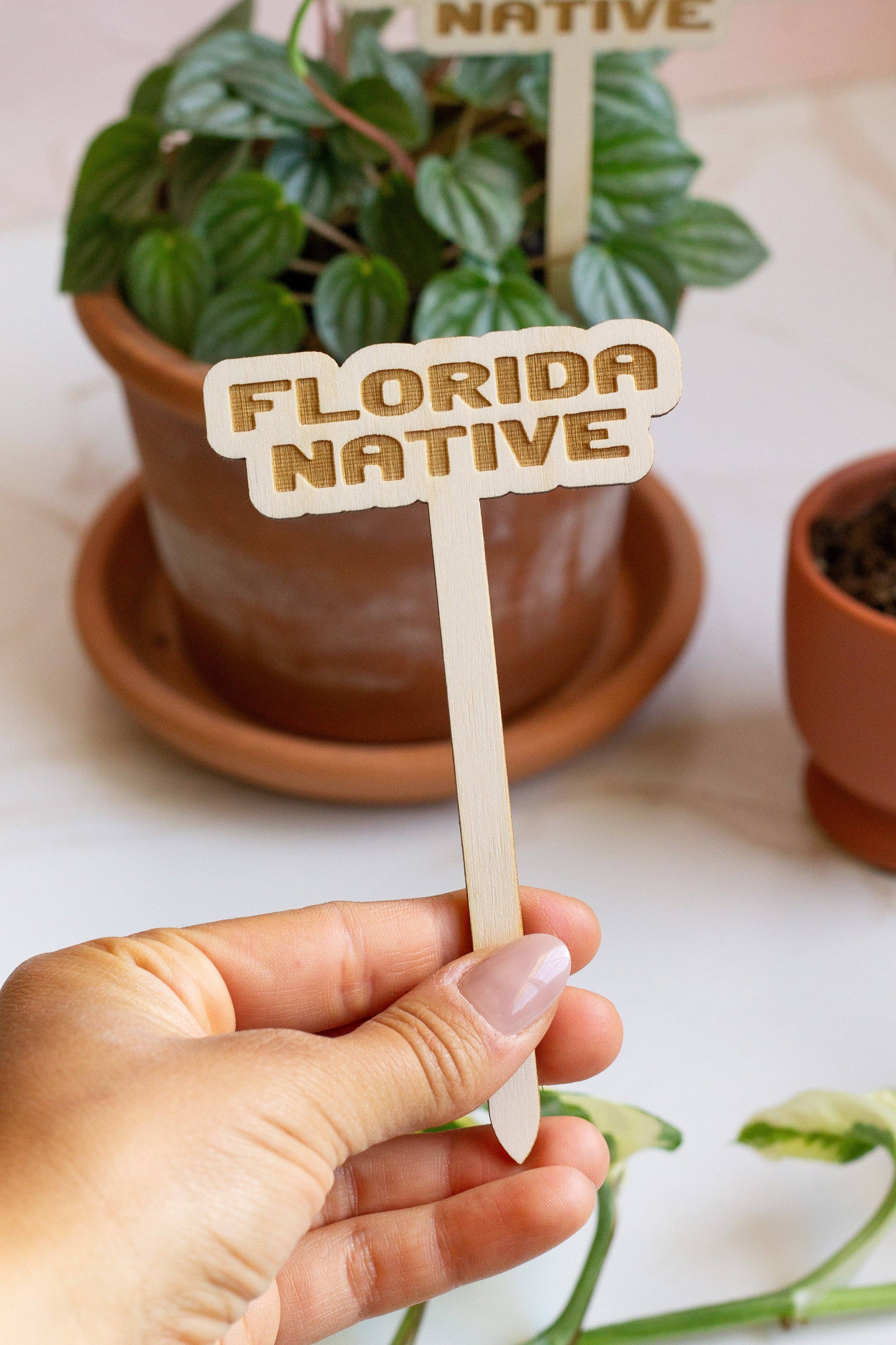 State Name Plant Stakes