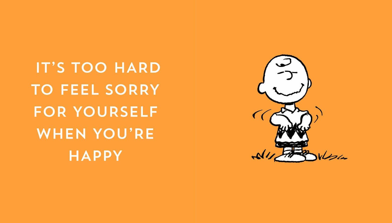 The Peanuts Guide to Happiness
