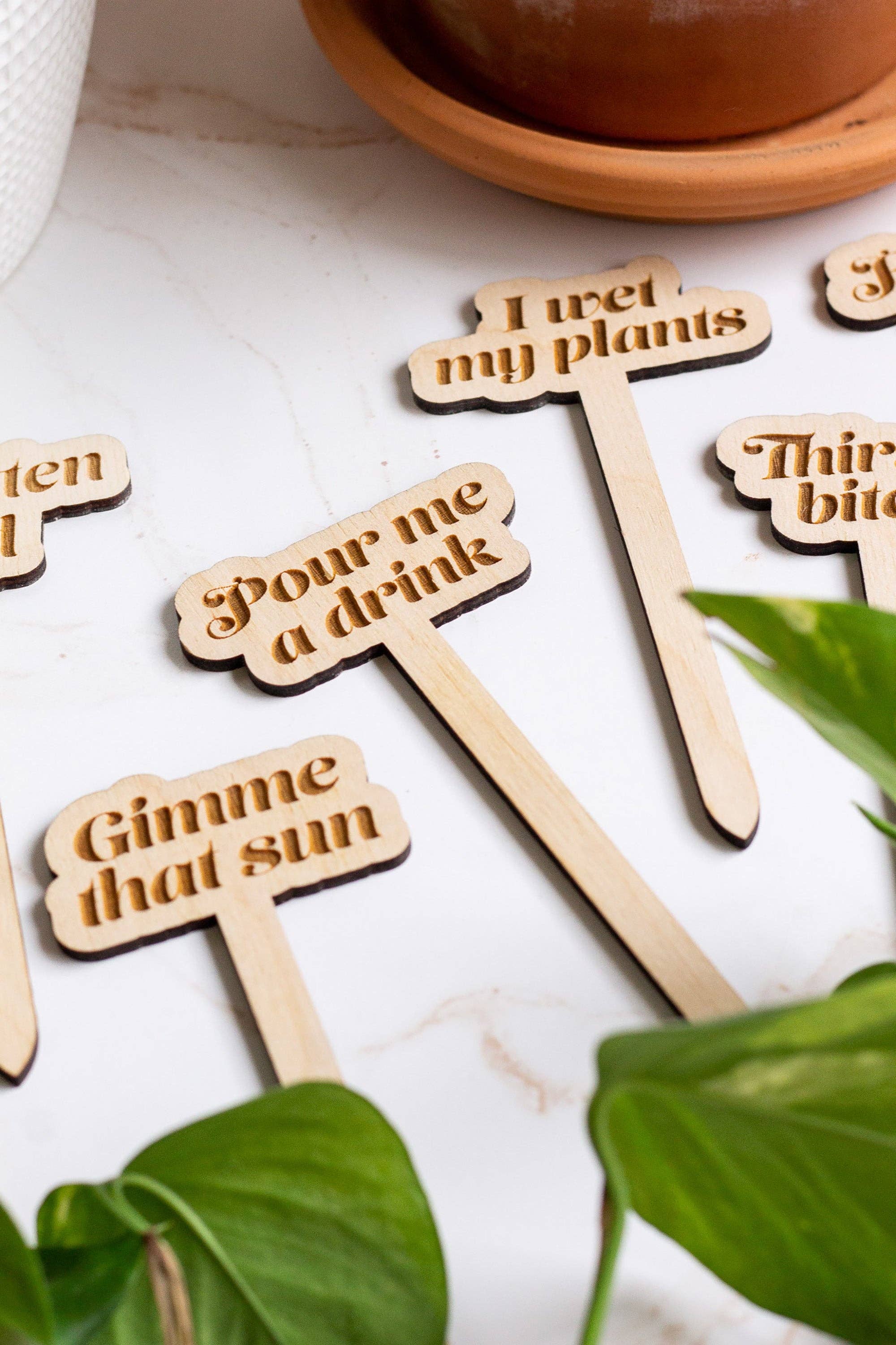 Funny Wooden Plant Markers