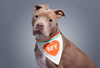 Brass Monkey BFF Dog Bandana