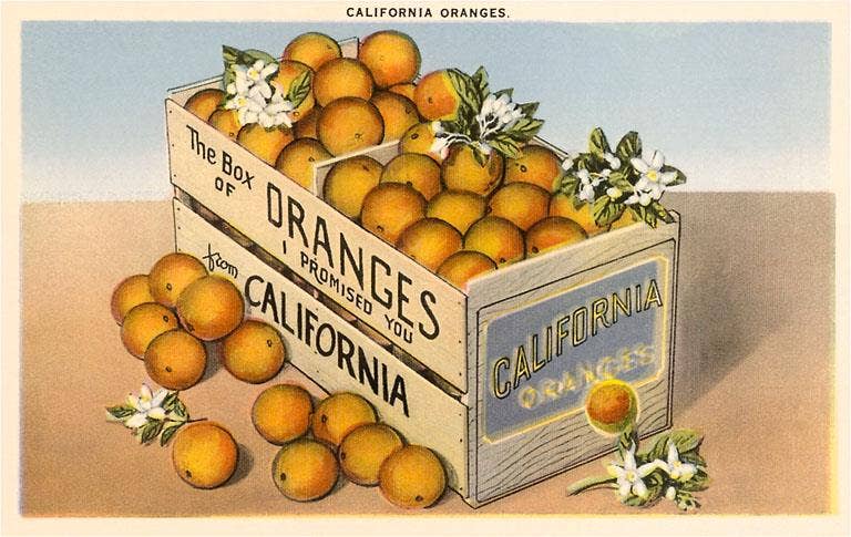 Postcard CA-03 Crate of California Oranges