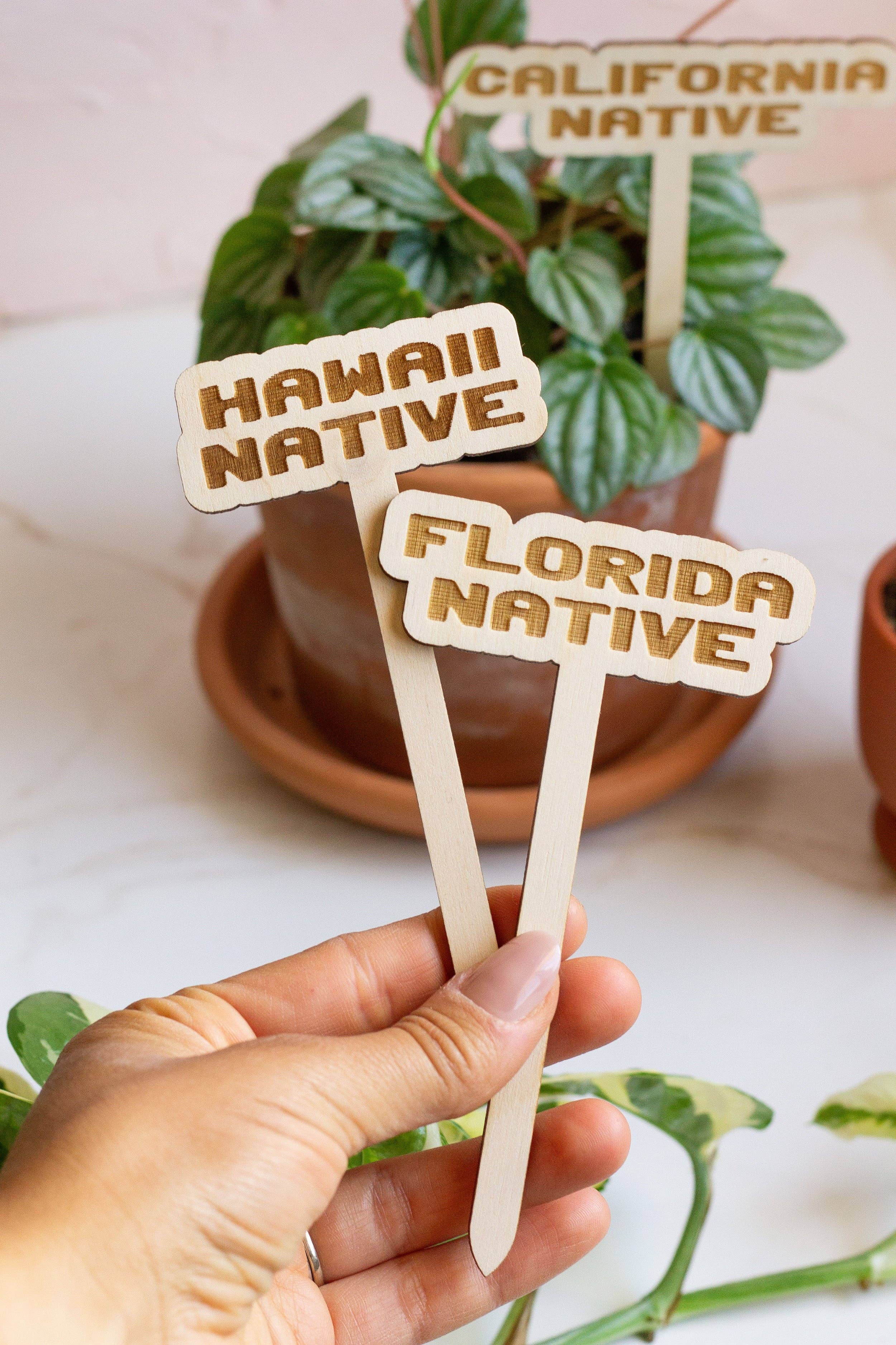 State Name Plant Stakes