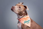 Brass Monkey Freelance Dog Model Dog Bandana