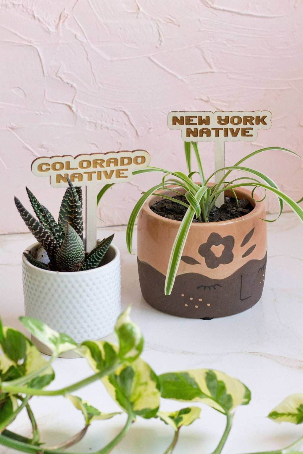State Name Plant Stakes