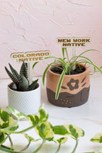 State Name Plant Stakes
