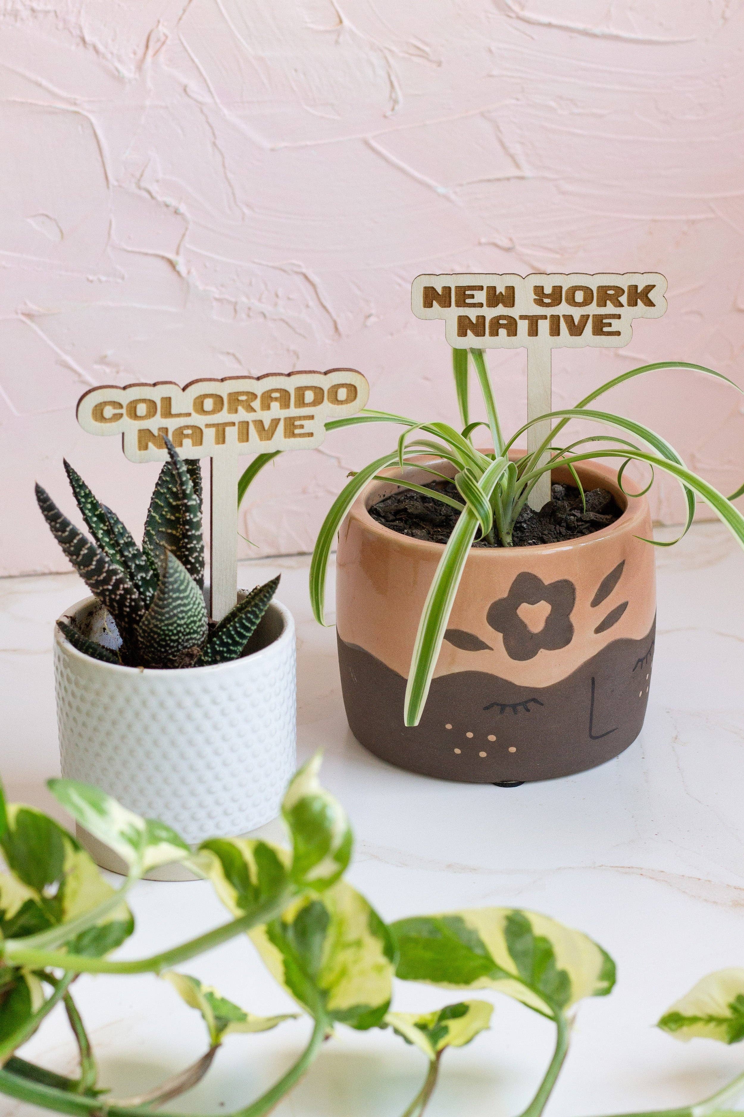 State Name Plant Stakes