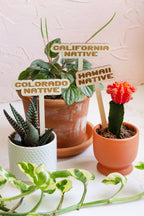 State Name Plant Stakes